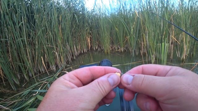 Ловля КАРАСЯ на БОКОВОЙ КИВОК в окнах с ЛОДКИ смотреть онлайн