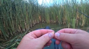 Ловля КАРАСЯ на БОКОВОЙ КИВОК в окнах с ЛОДКИ