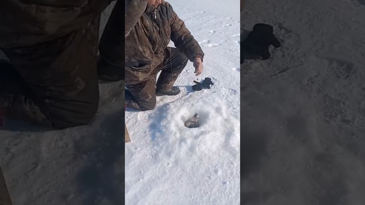 Хорошая идет#ловлящуки смотреть онлайн