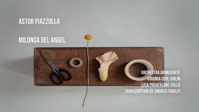 A. Piazzolla - Milonga del angel смотреть онлайн