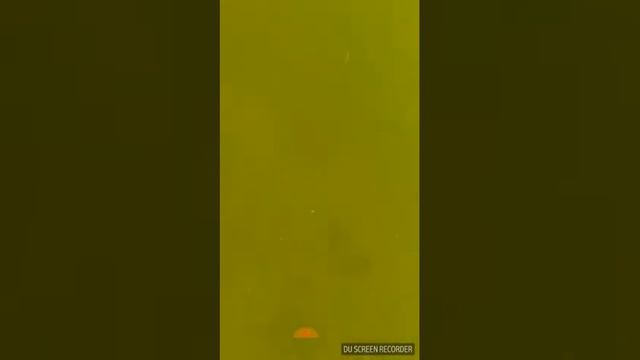 31 декабря 2017 г. смотреть онлайн