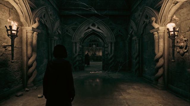 HOGWARTS LEGACY Slytherin's Scriptorium Music Only | No Ambience | 1 HOUR