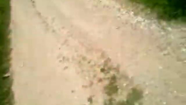 идем типа рыбу ловить смотреть онлайн