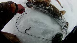 трудовая рыбалка часть 4.mp4 смотреть онлайн