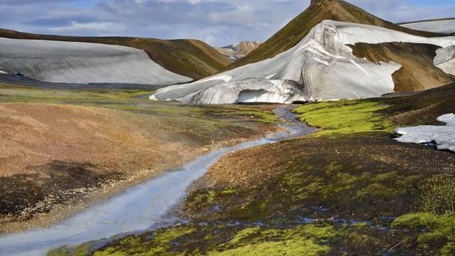 Neil Diamond. Home Is A Wounded Heart