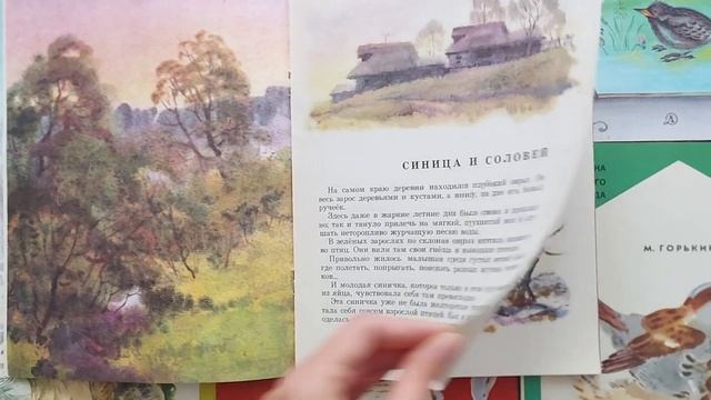 Детская книга. Здравствуй, солнце красное! Георгий Скребицкий. 1986. Художник Сергей Куприянов. смотреть онлайн