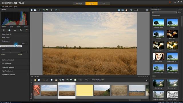 Corel PaintShop Pro X6 - White Balance Temperature and Tint Tutorial смотреть онлайн