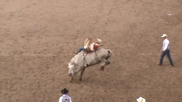 C5 Rodeo's Virgil and Chris Harris - CFD 2013 смотреть онлайн