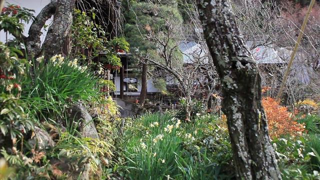 ピアノ曲鎌倉６.♪すいせん. Piano.Kamakura Japan 6.Narcissus смотреть онлайн