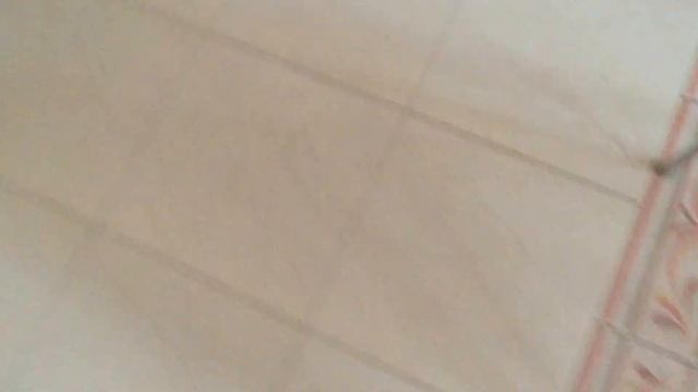 ПАПА ДАЙ ПОЕСТЬ, ФРАНЦУЗСКИЙ БУЛЬДОГ ДЭННИ И АНГЛИЙСКИЙ БУЛЬДОГ БЕРТОН ОЧЕНЬ И ОЧЕНЬ ГОЛОДНЫ!!! смотреть онлайн