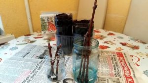 Проращивание черенков винограда зимой. Часть 1