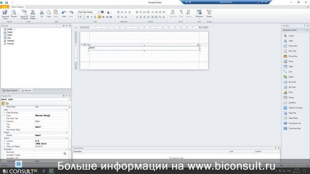 Курс NPrinting ч4 - Начни создавать PixelPerfect отчеты в Qlik Nprinting смотреть онлайн