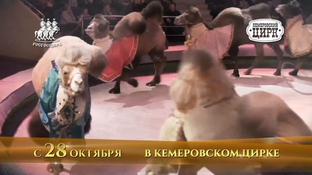 Epohi Kemerovo 4 смотреть онлайн