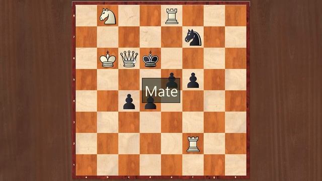 Шахматные задачи мат в 2 хода. Выпуск №36. Шахматы задачи. Решение задач. Шахматные заметки. смотреть онлайн