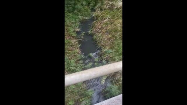 В Скуратово у родника забил "ключ" канализации смотреть онлайн