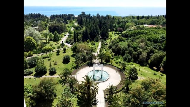 Санаторий Самшитовая роща (Абхазия)