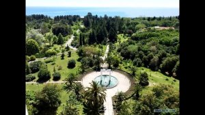 Санаторий Самшитовая роща (Абхазия)