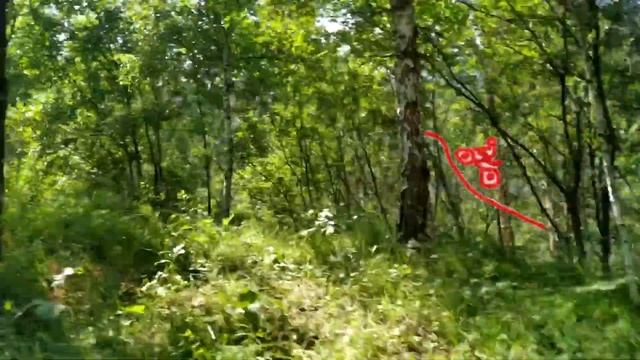 Квадроциклы подъем на гору // Алтай ,Чемал // 2 часа подъёма в гору. смотреть онлайн