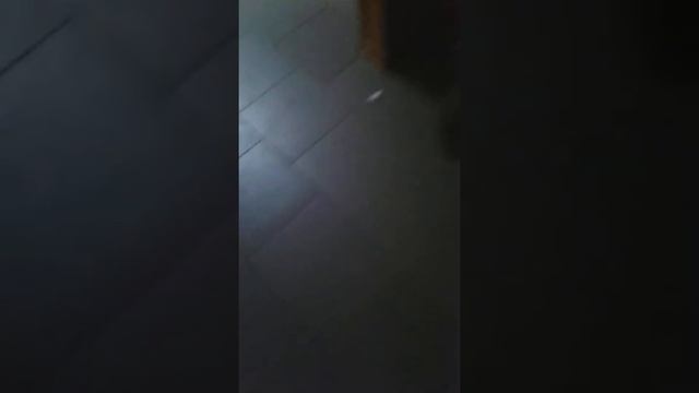 Мы в школе снимаем видео БЫЛО ИЛИ НЕБЫЛО! !! смотреть онлайн