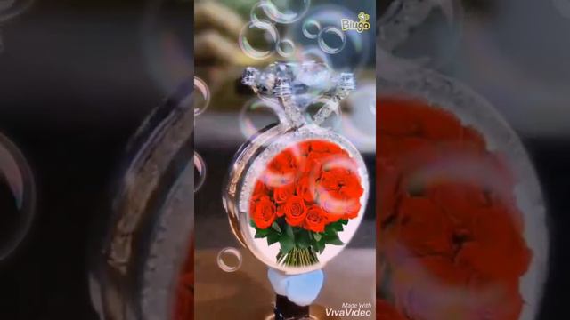 Қайырлы таң қазақ елі смотреть онлайн