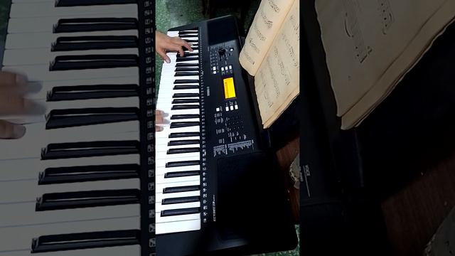 un rico bossanova titulado Hotel de Adán/cover con Yamaha Psr E 363 смотреть онлайн