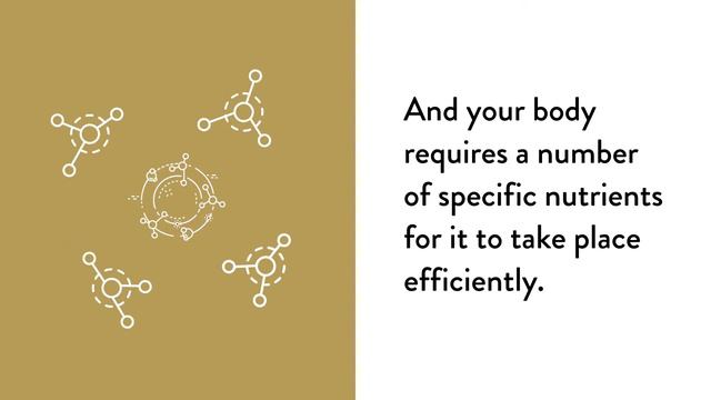 Methyl-Guard смотреть онлайн