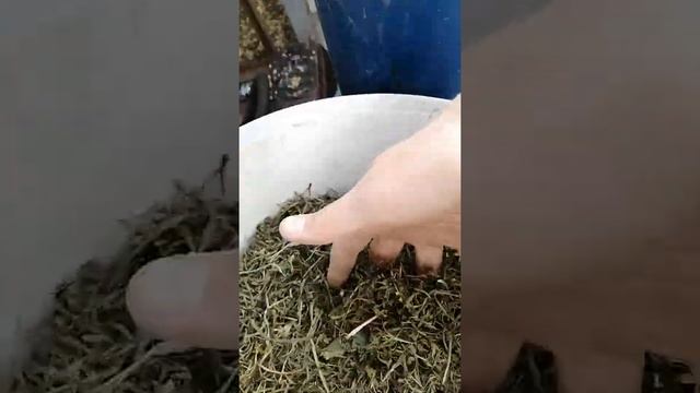 Делаю гранулы из чистой травы смотреть онлайн