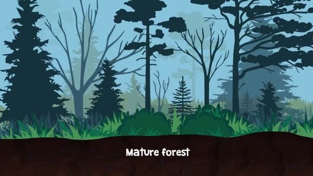 EDU GAMES-Fiverr Contract Work Completed-Oscars World Changes in Ecosystems Game Legends of Learnin смотреть онлайн