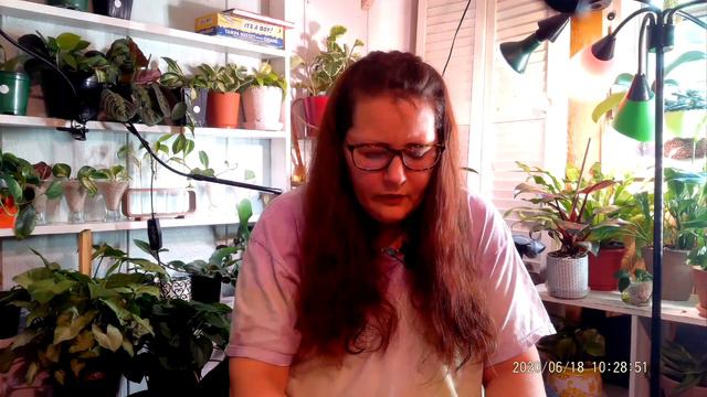 How to Care for Caladium смотреть онлайн