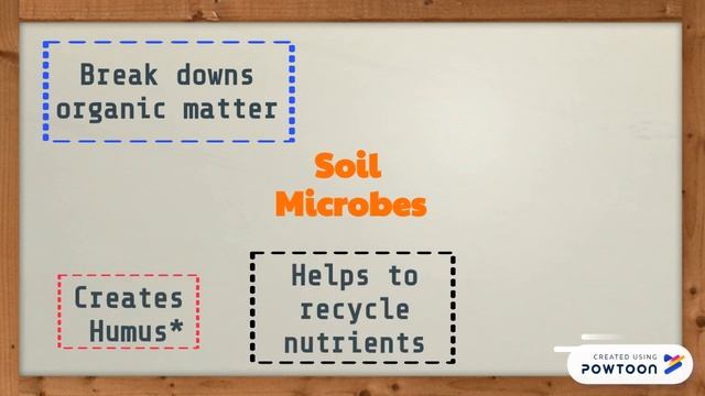 Agricultural Microbiology смотреть онлайн