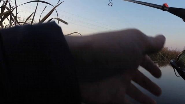 Ловля щуки! Бюджетные вейдерсы! Сделали рыбалку! Обзор и рыбалка на шуку! смотреть онлайн