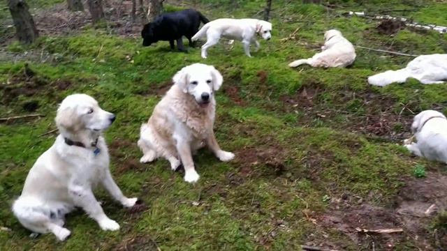 6 августа 2019 г. смотреть онлайн