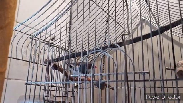 Славянск.01.02.23. День,как он есть. Звуки не обманули. Судя по новостям. Была сирена. смотреть онлайн