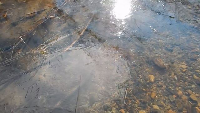 Рыболовное путешествие на реку Уссури. 01 - 04.11.2019 г. Дорога на Уссури. смотреть онлайн
