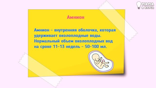 Первый скрининг. Полная расшифровка результатов узи и крови смотреть онлайн