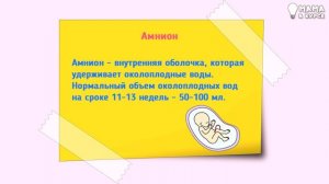 Первый скрининг. Полная расшифровка результатов узи и крови