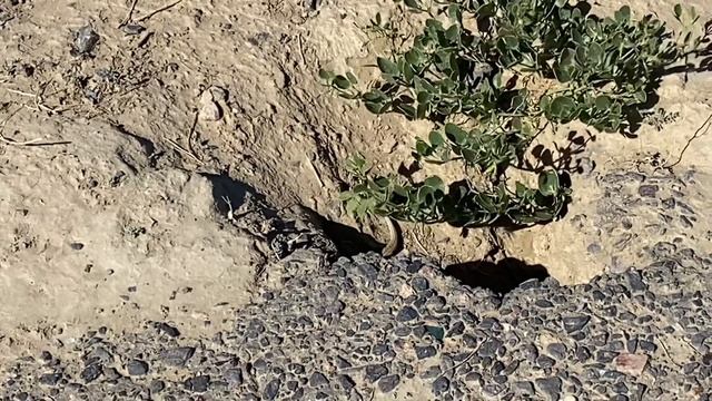 3 июня 2023 г., источник за горпарком, Байконур смотреть онлайн