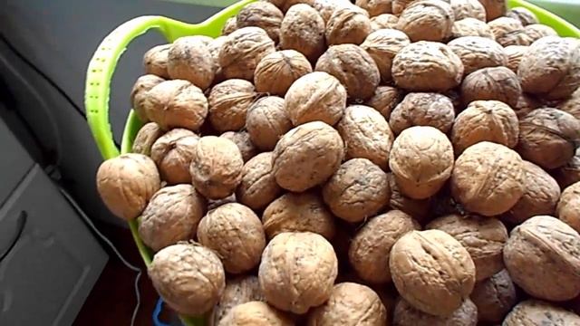 Что привезли с дачи .Если слива разварилась... смотреть онлайн