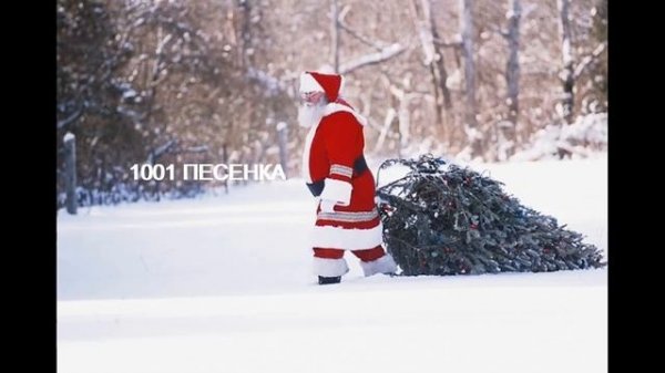 ПЕСЕНКА ДЕД МОРОЗ деткам ЕЛОЧКУ принес НОВОГОДНЯЯ