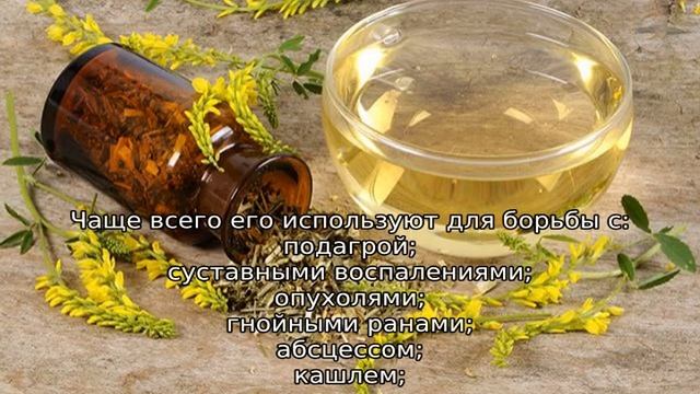 Донник трава: описание, свойства и применение смотреть онлайн