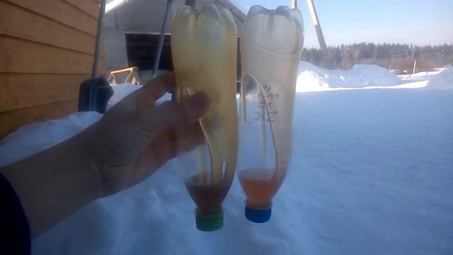 ZIC TOP XQ 0W-40 vs Wolf VitalTech 5W-40 at -36C смотреть онлайн