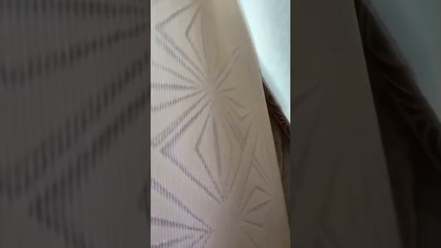 Один день из ЖИЗНИ мухи ? смотреть онлайн