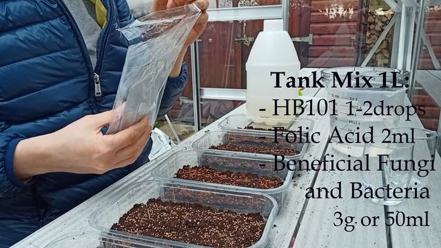 Microgreens Benefits And How To Grow ???