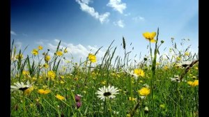 В нашей жизни самое прекрасное | Даром| Караоке с голосом| Христианские песни |