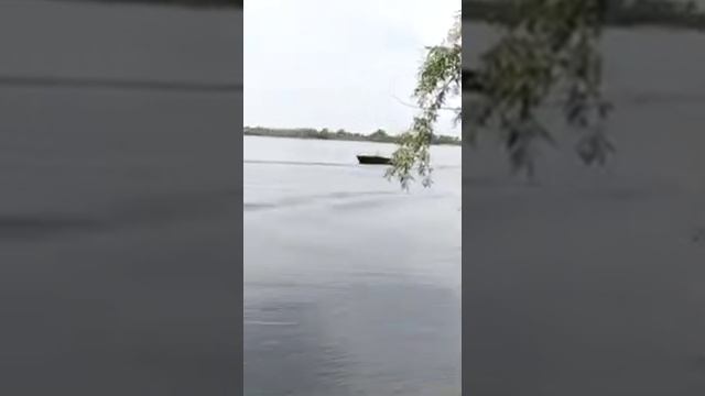 Казанка 2 м под ямахой 85 смотреть онлайн