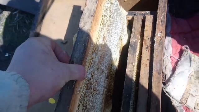 Наши будни\Первые посадки\Сложили грядку\ смотреть онлайн