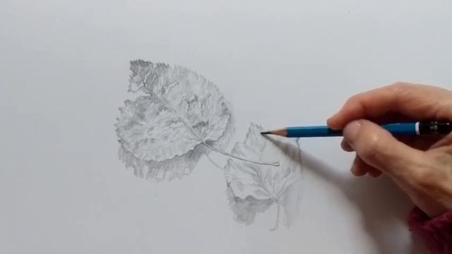 рисунок простым карандашом смотреть онлайн