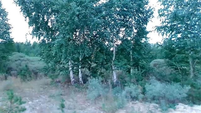 Побережье озера Щучье. Курорт Щучинск Боровое 2019 г смотреть онлайн