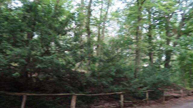 Berlin Vlog #6: Steglitz-Zehlendorf | A Berlin Travel Guide