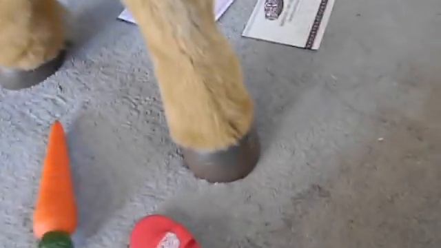 Hasbro FurReal Friends Butterscotch Pony Demo